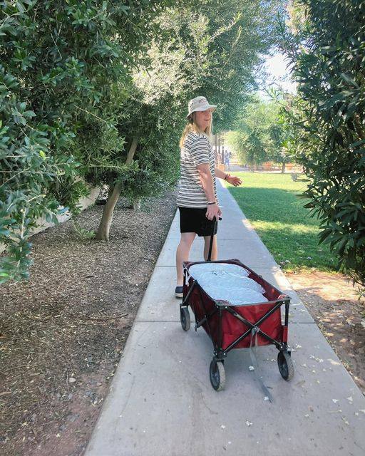 A person in casual clothes walks along a park path, pulling a wagon of ice.